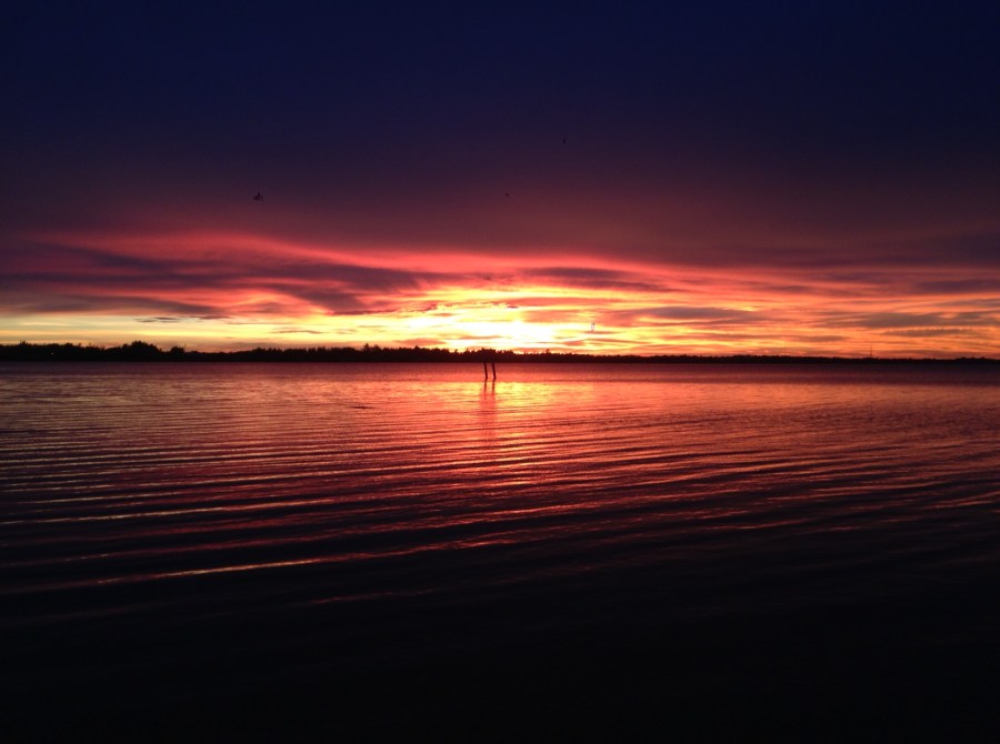 Dishes Takes A&nbsp;Vacation: